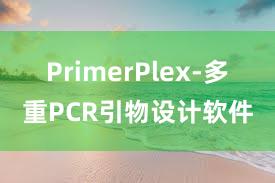 PrimerPlex-多重PCR引物设计软件