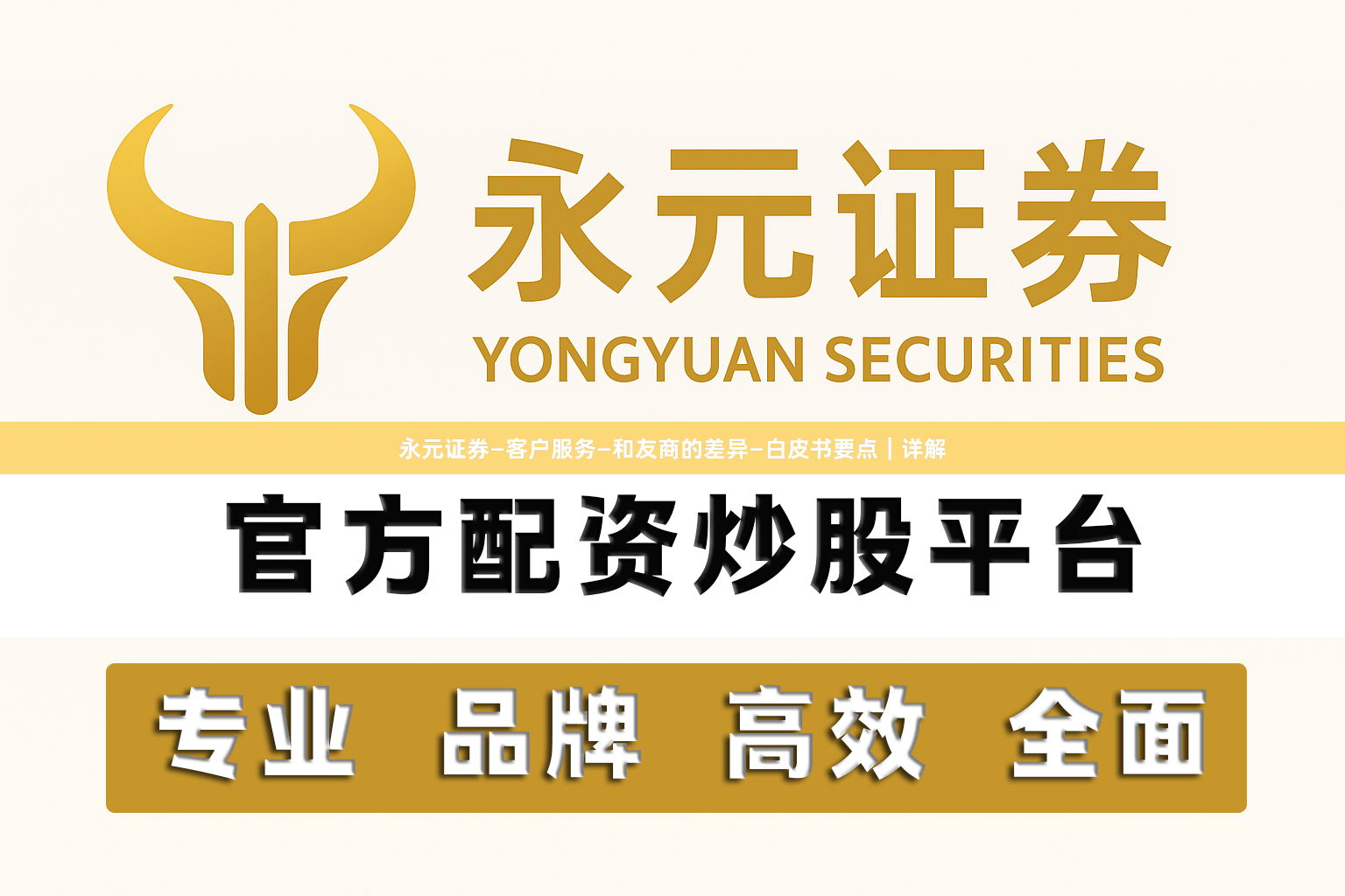 永元证券—客户服务—和友商的差异—白皮书要点｜详解