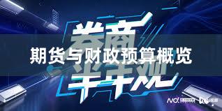 期货与财政预算概览